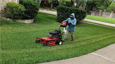 又晒一下俺家的花花草草，生机勃勃
