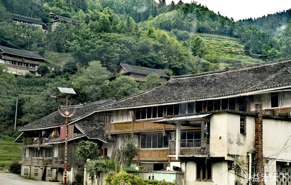 IMG_20260808_171434.jpg