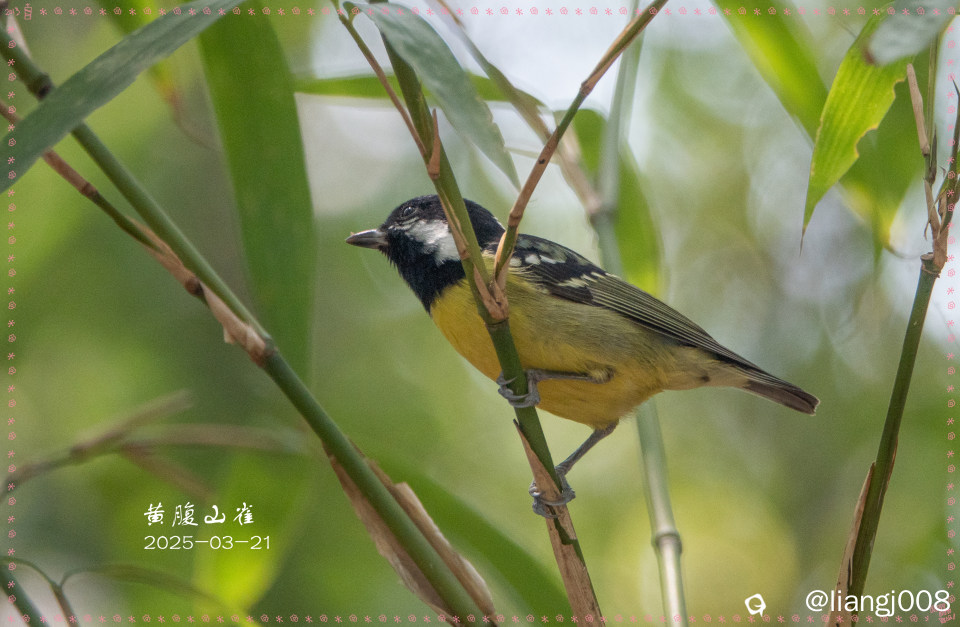 DSC08786_副本_副本.jpg