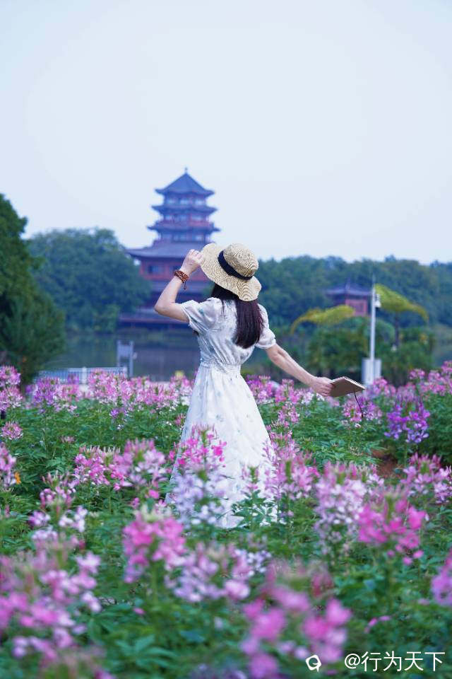 f9170f4e-f287-c678-0261-1aa6da4ef034.jpg