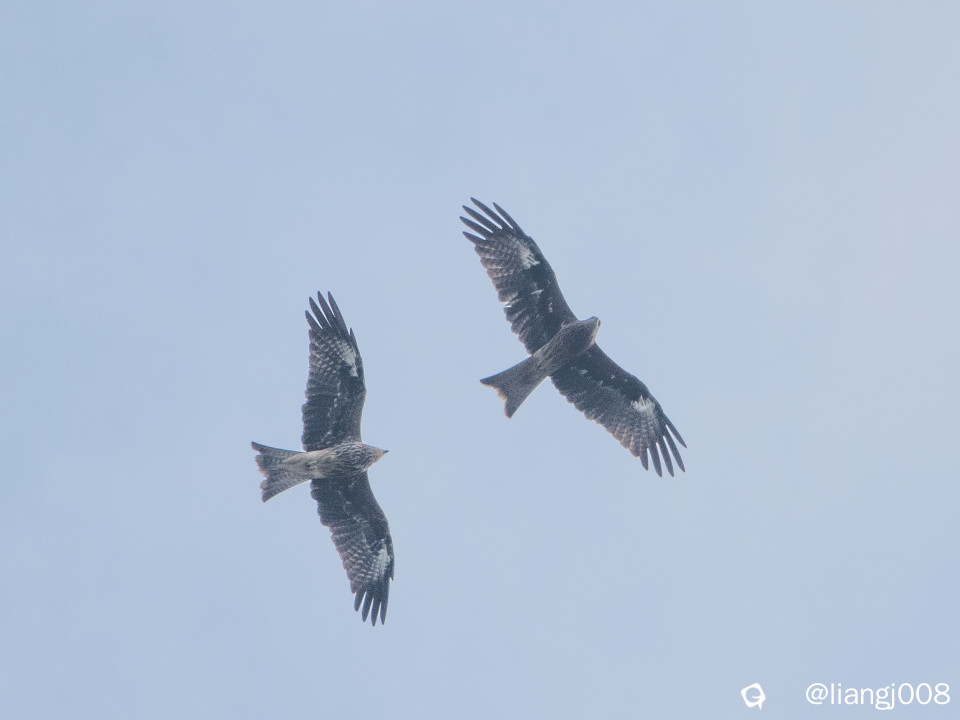 DSC09813_副本.jpg