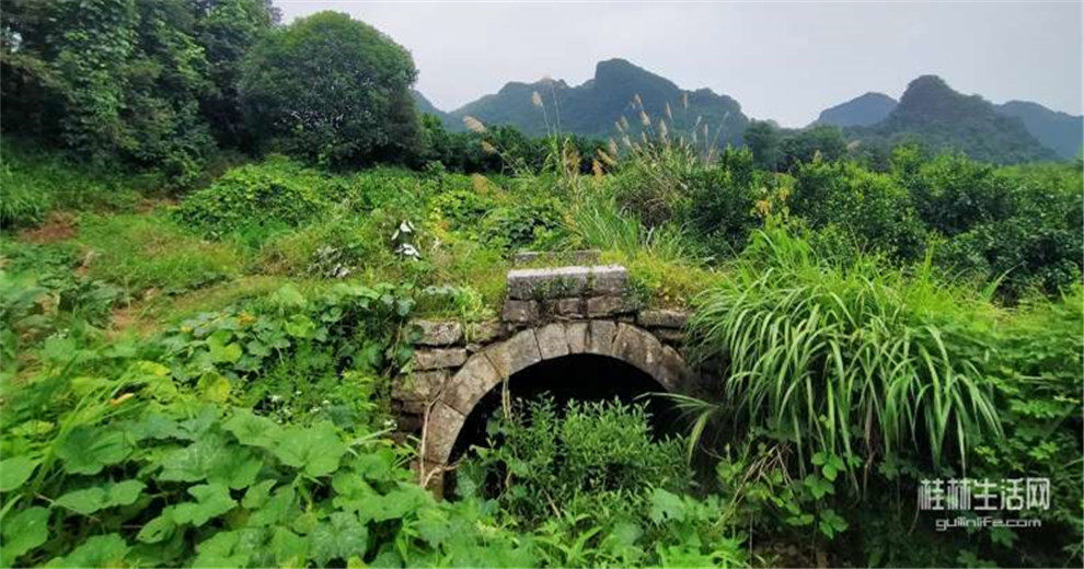 首發(fā)羅錦三座古橋，我喜悅的心情溢于言表