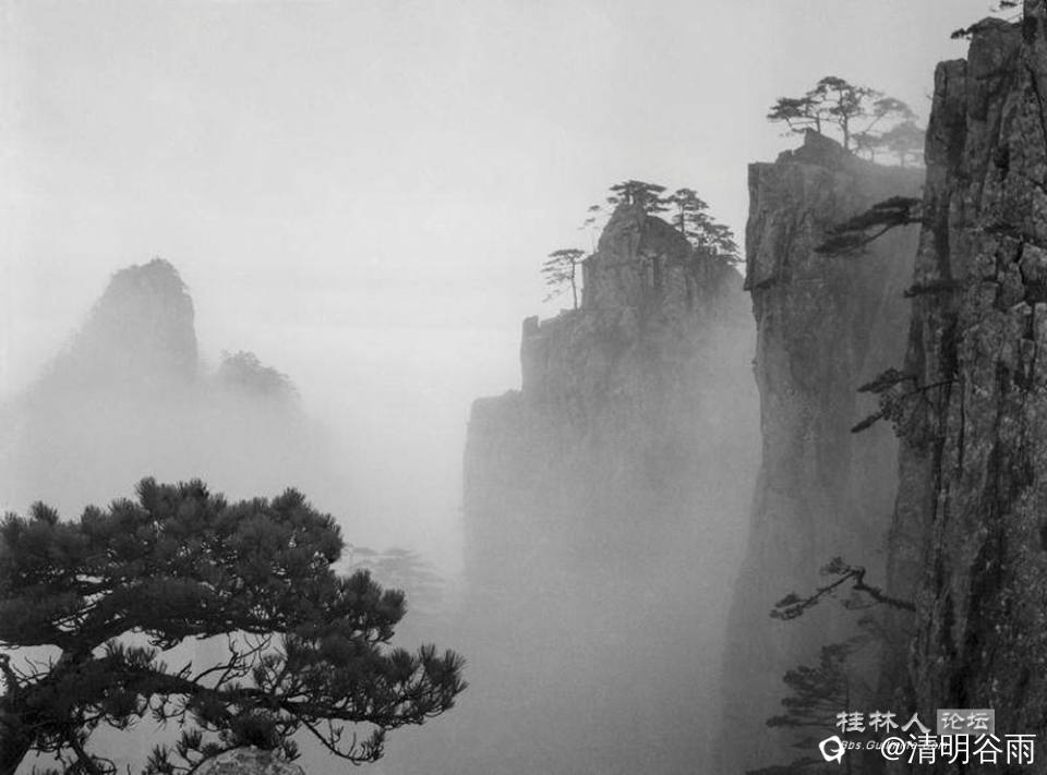 黄翔《黄山雨后》 1953.jpg