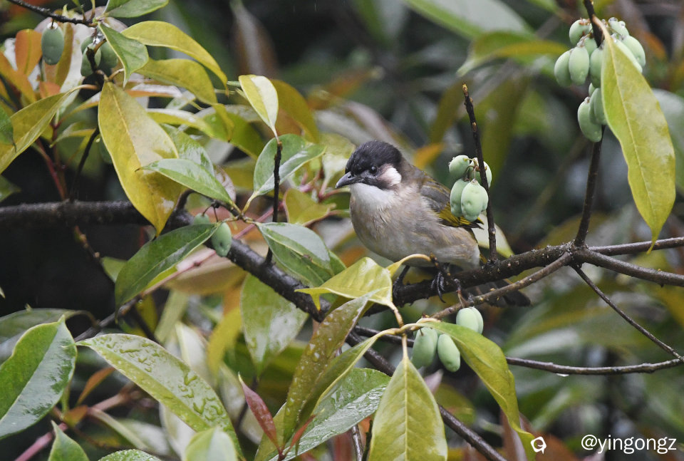 DSC_5786_副本.jpg