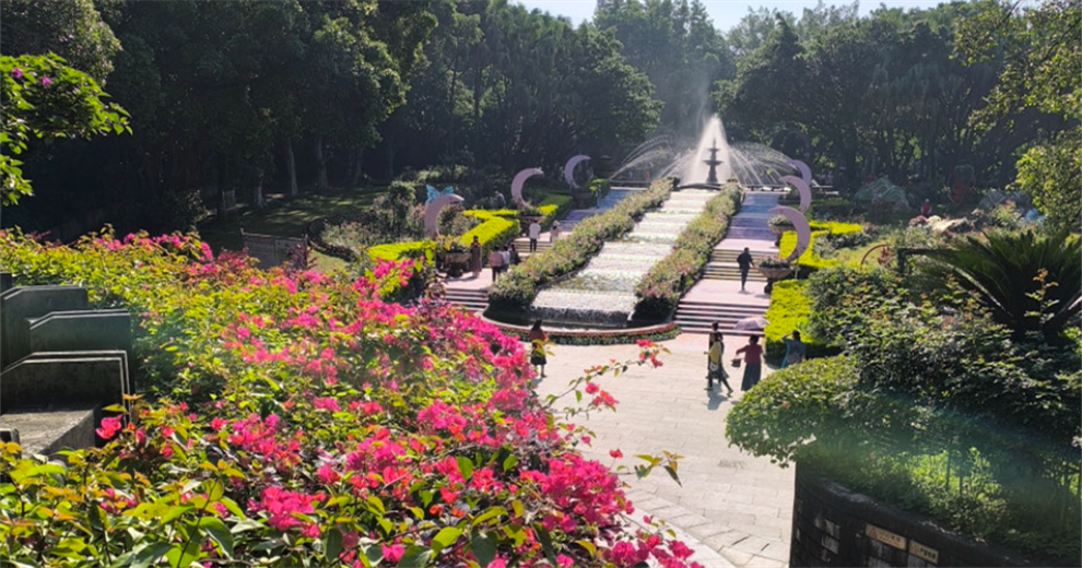 虞山月季展一一老人世界也精彩