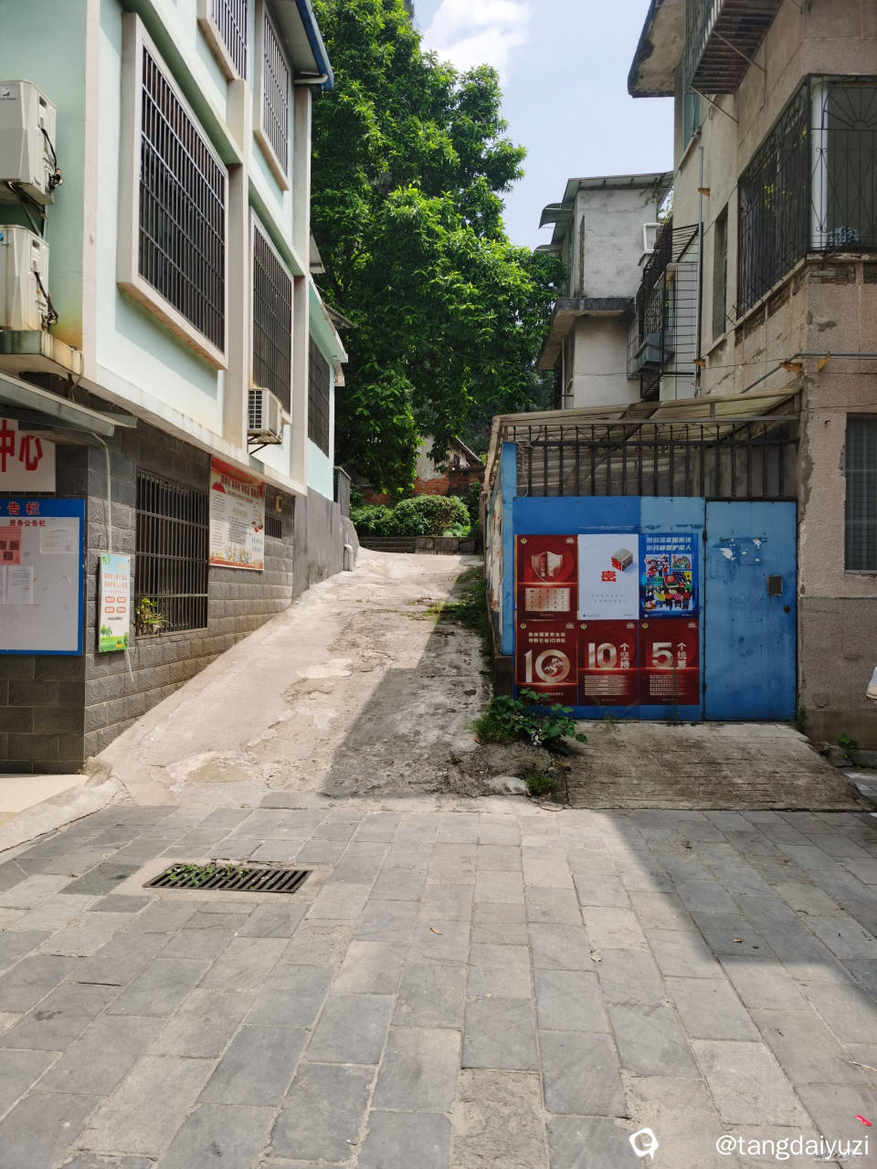 上山必经之路