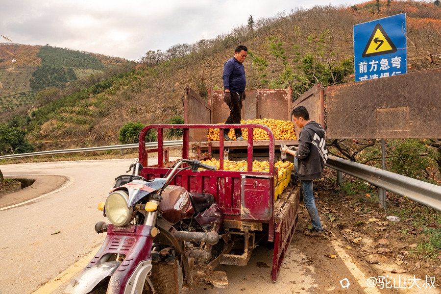 DSC04693-0_副本.jpg