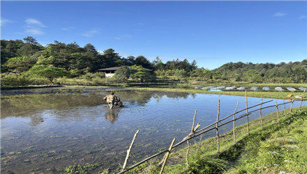 五一重走彭祖坪，看看美丽的风景