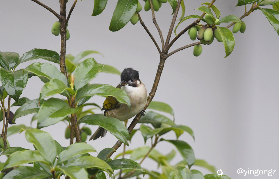 DSC_5756_副本.jpg
