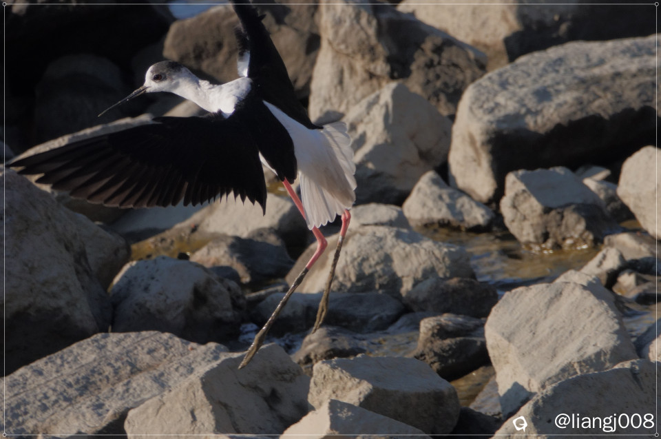 DSC05099 - 副本.JPG