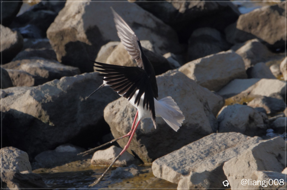 DSC05104 - 副本.JPG