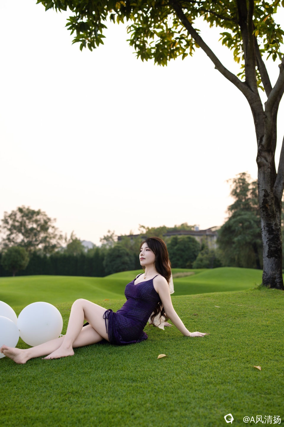 91a4a3f5-067a-fd1d-92d0-9bfd62d53977.jpg