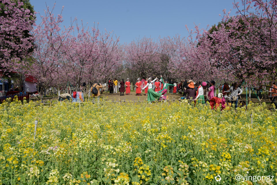 DSC_7166_副本.jpg