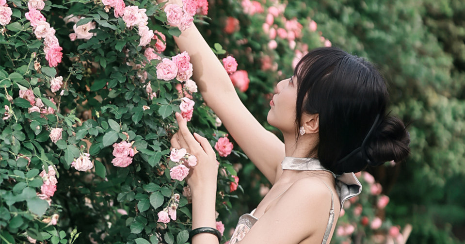 花开半夏，蔷薇满墙。