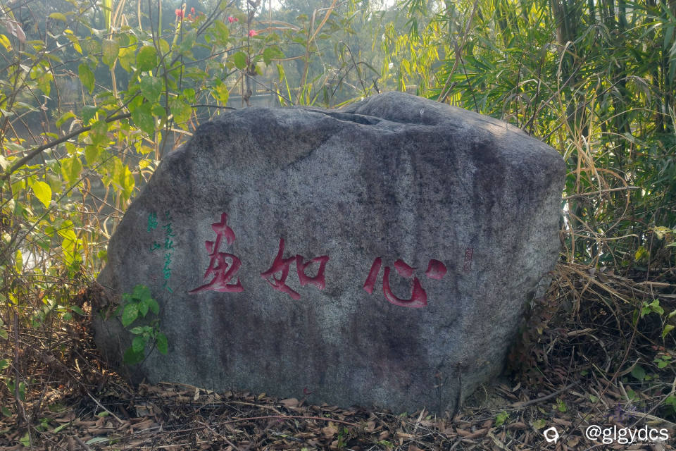 IMG_20241220_095910_副本.jpg