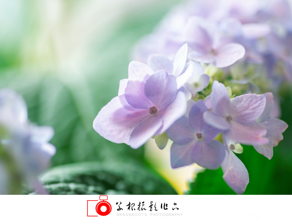 _DSC7800 拷贝_副本.jpg
