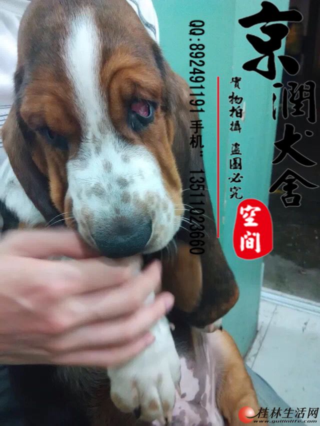 ����������۴��ְͼ���
