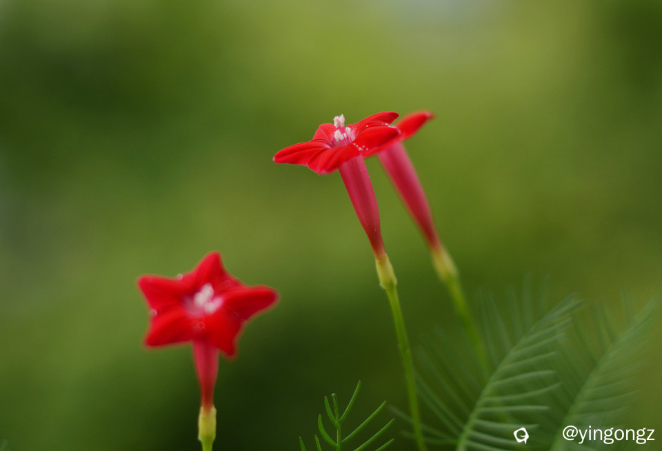DSC_3756_副本.jpg