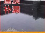 ���ֱ���������ˡ���ˮ��©ά�ޡ����湫˾�����⸶���ˮ��©�����ݲ�©��������©��