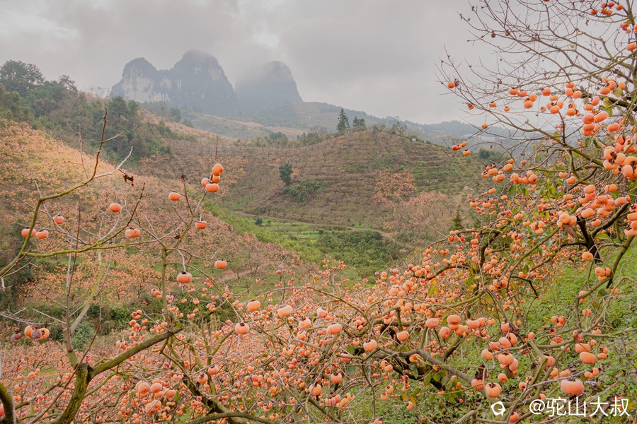 DSC04413-0_副本.jpg