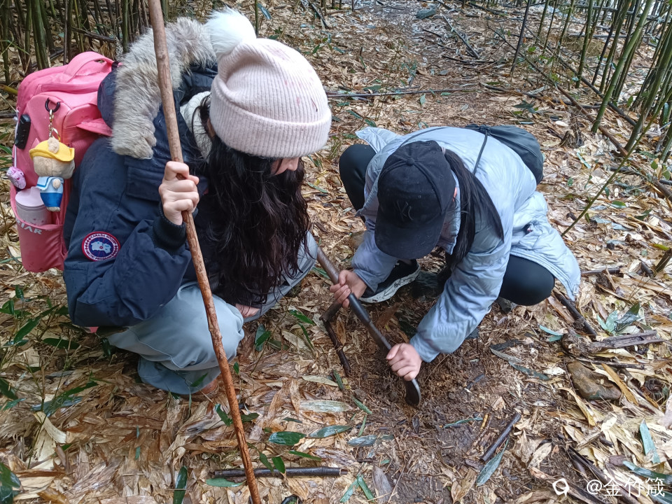 在大大的花园里面挖呀挖呀挖