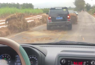 给大哥点赞！草垛子阻挡通行，广西热心司机直接开车把它们&ldquo;顶&rdquo;出去！