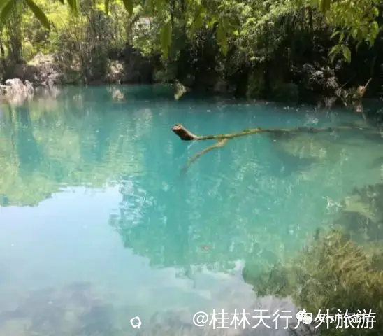 640.webp (6).png