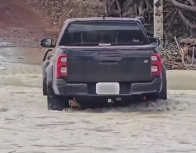 司機(jī)開車過河，感覺車底像是卡了東西…鱷魚：啊啊?。“盐耶?dāng)減速帶呢