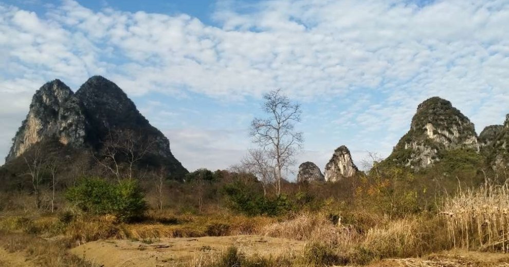 天藍(lán)藍(lán)，茅高高，披荊斬棘看古橋