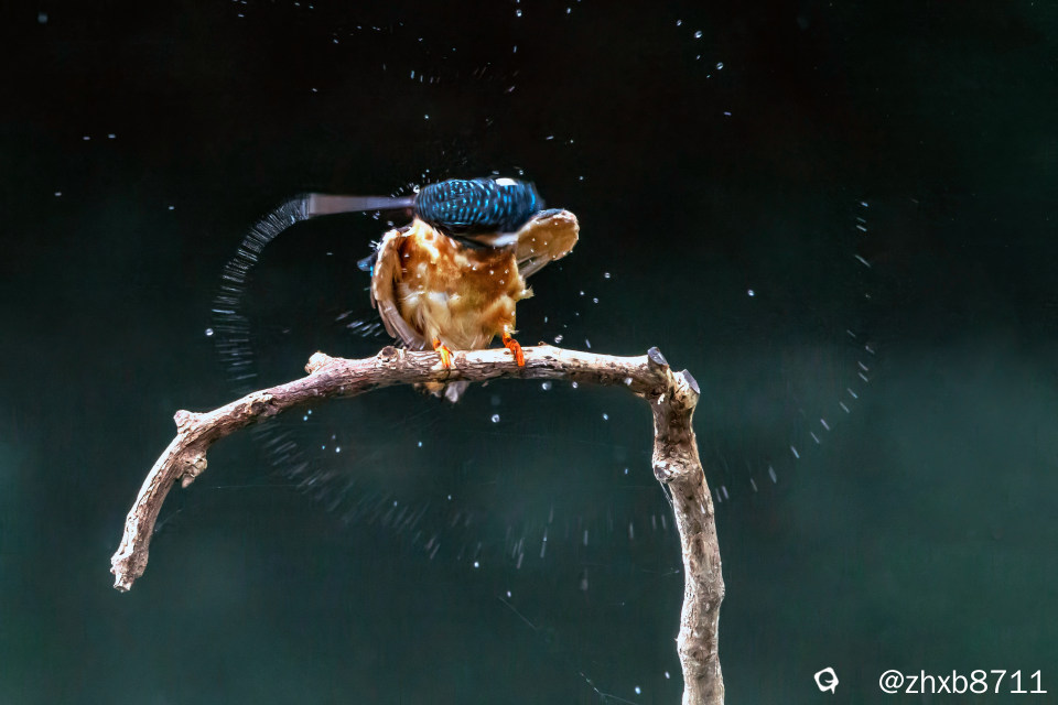 CW2A2950 拷贝副本-topaz-sharpen-denoise-2-topaz-color-sharpen.jpg