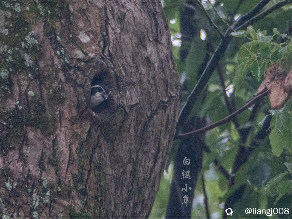 DSC09170_副本_副本.jpg