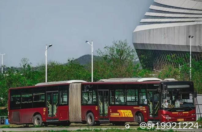 4621.jpg