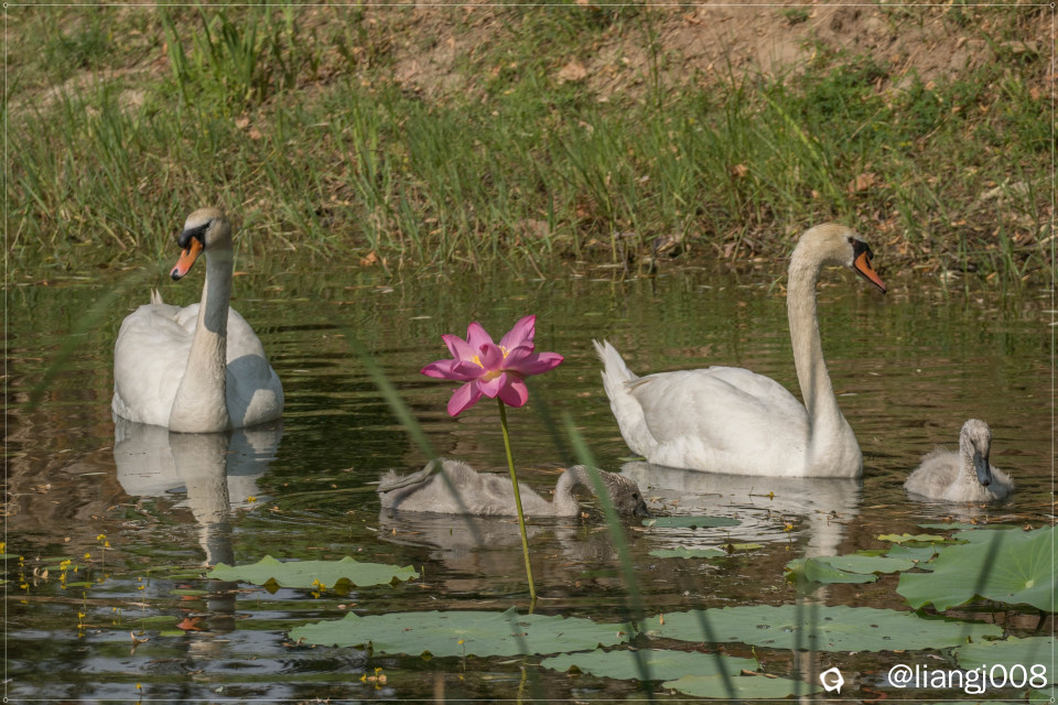 DSC00758_副本_副本.jpg