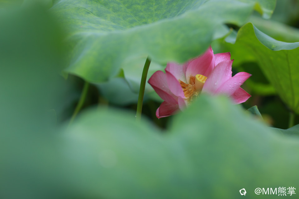 d744ef45-78ac-e1af-1acc-0f5c0bb7af77.jpg