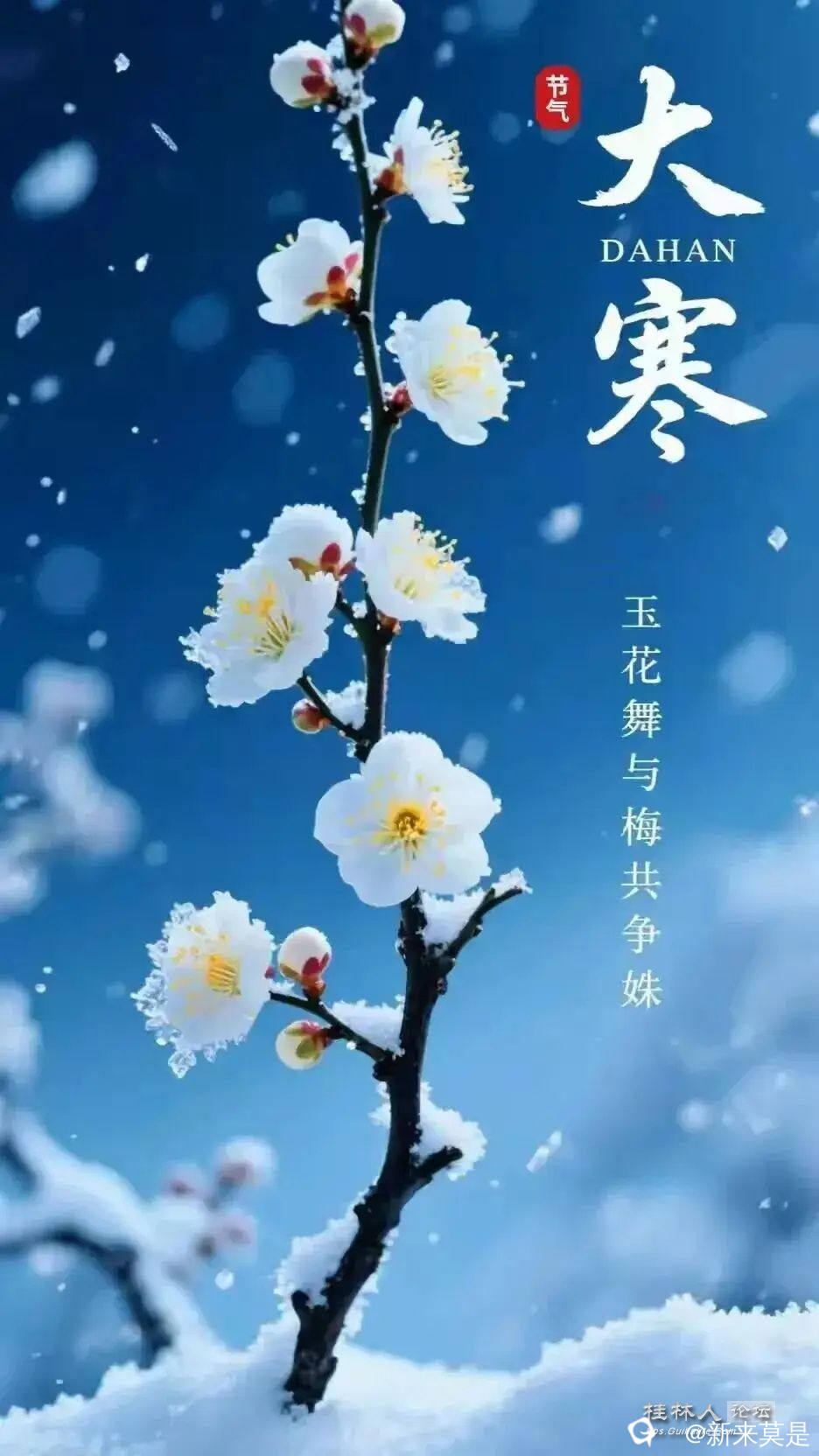 a9e44dbb7c744f2183c343a365282f44_看图王.jpg