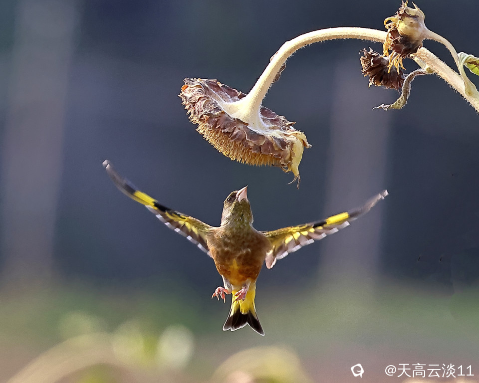 5D2A1854_副本.jpg