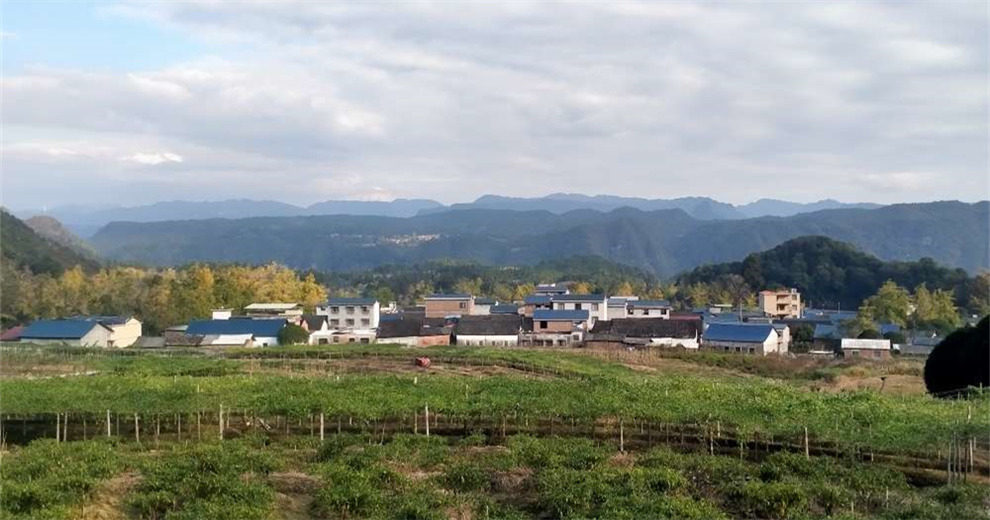 走一走深秋的思安头