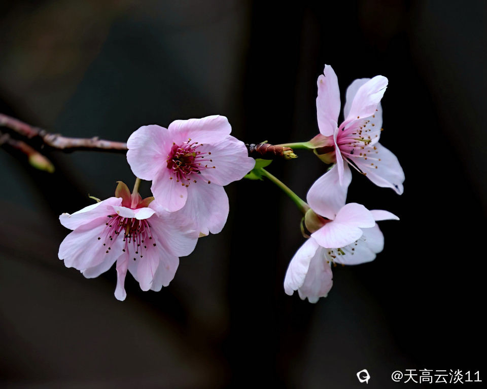 5D2A3107-DeNoiseAI-denoise.jpg