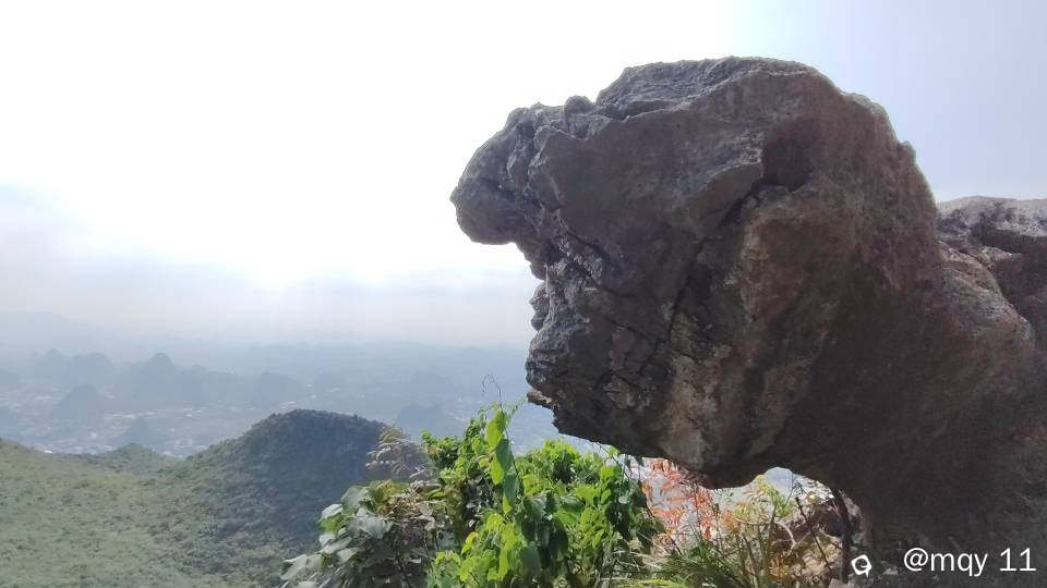 a00e68c0-6ab3-2f62-3239-f2c096c6e45e.jpg