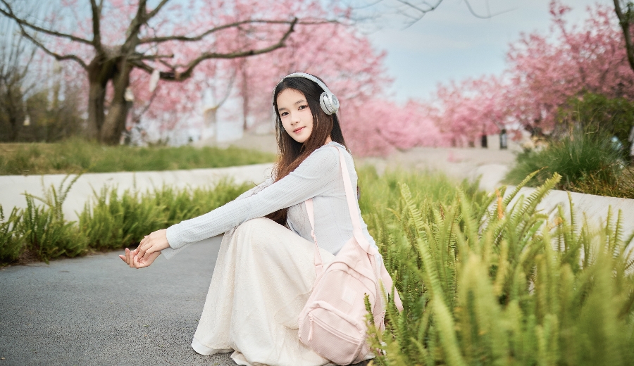 春信至，樱花开