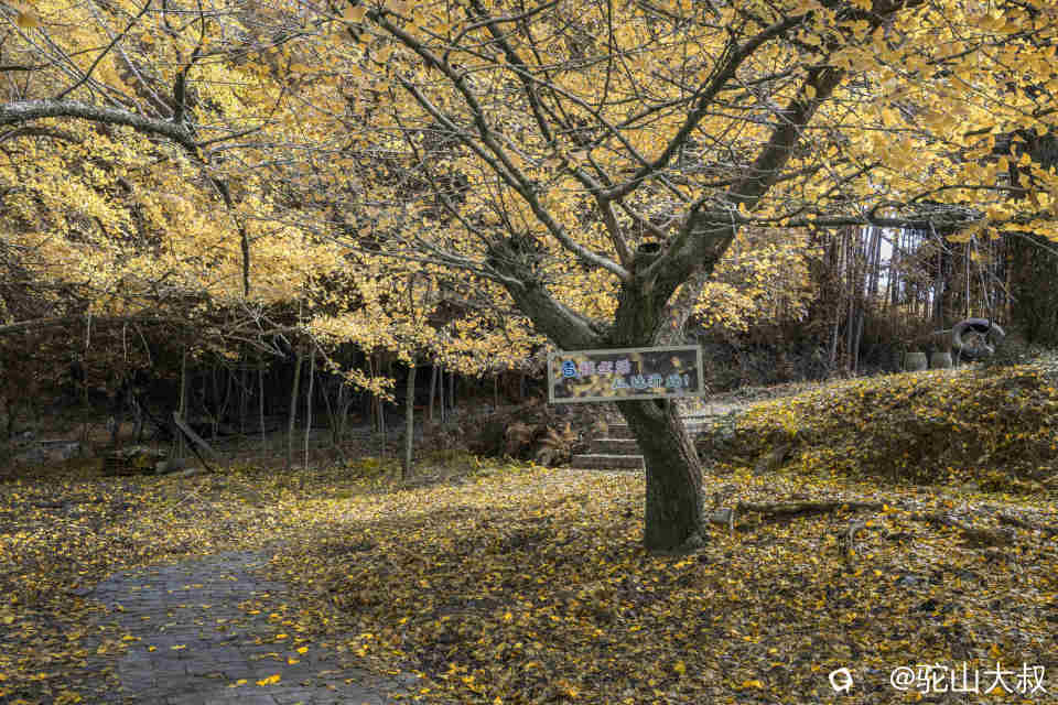 DSC04290-0 - 副本.jpg