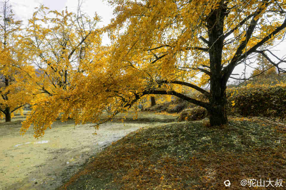 DSC04173-0 - 副本.jpg