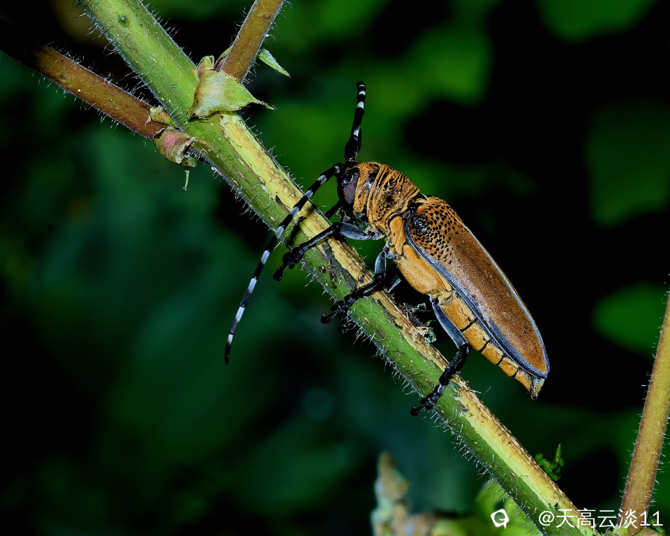 5D2A0870_副本.jpg