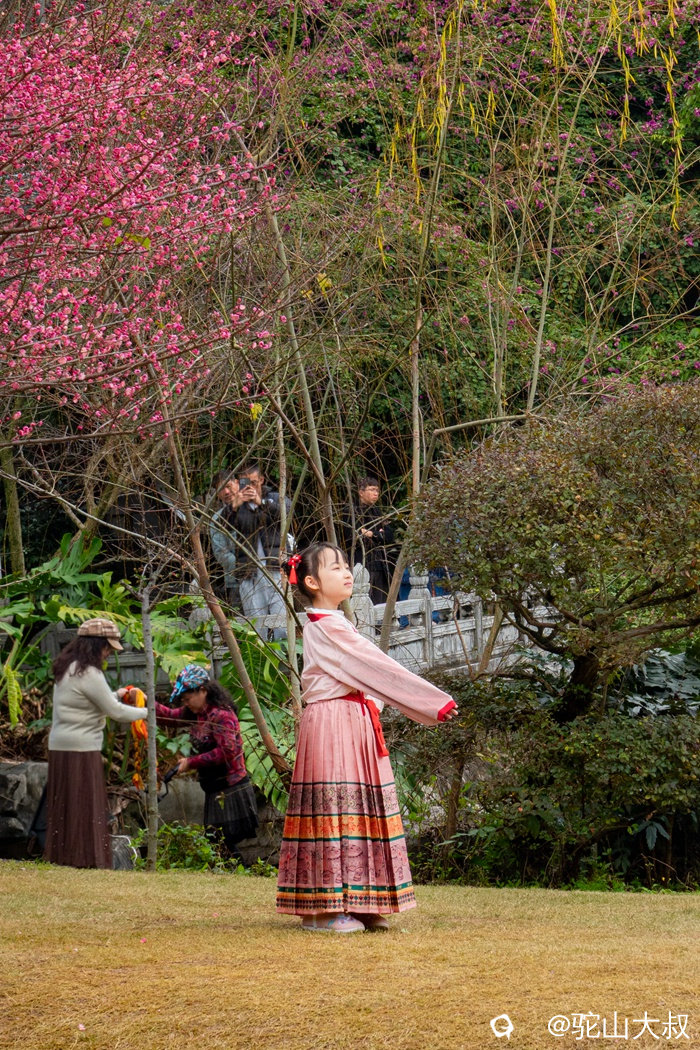 DSC05459-0_副本6.jpg