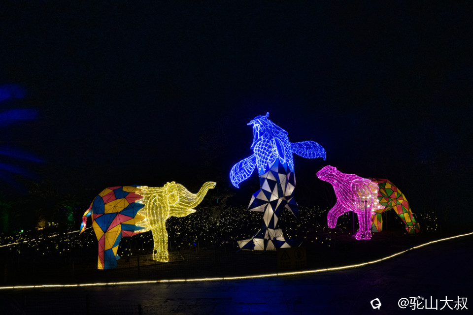 DSC04875-0 - 副本.jpg