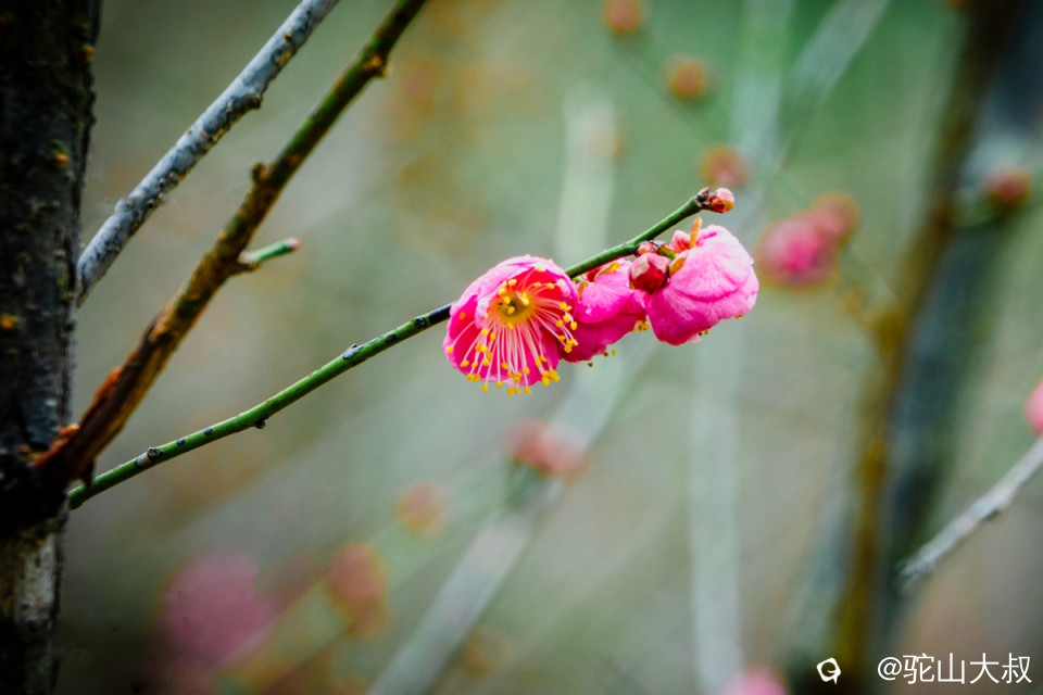 DSC04746-0 - 副本.jpg
