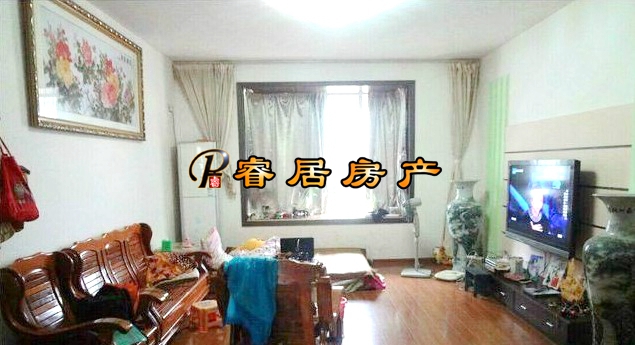 Z ���ۣ�Ψһ��5�꣡������ ����С������װ3��2�� 112�O 06�� ���� 65��