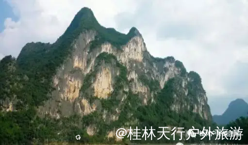 640.webp (3).png