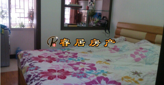 Z ���˰!����!�������� ���С����98�꾫װ 2��2�� 65�O   �ƽ�2¥