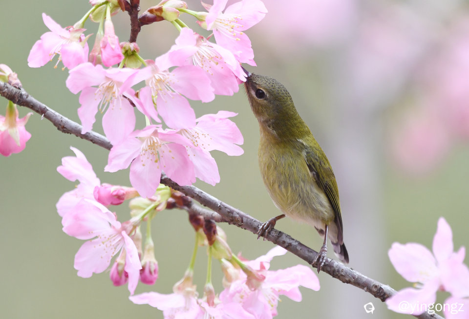 DSC_4741_副本.jpg